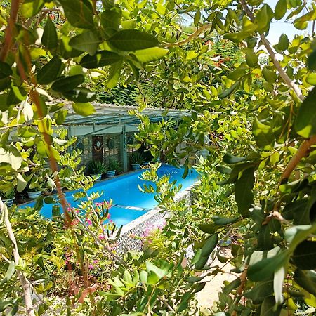 Silk Island Homestay 金边 外观 照片